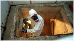 Asbestos in australia